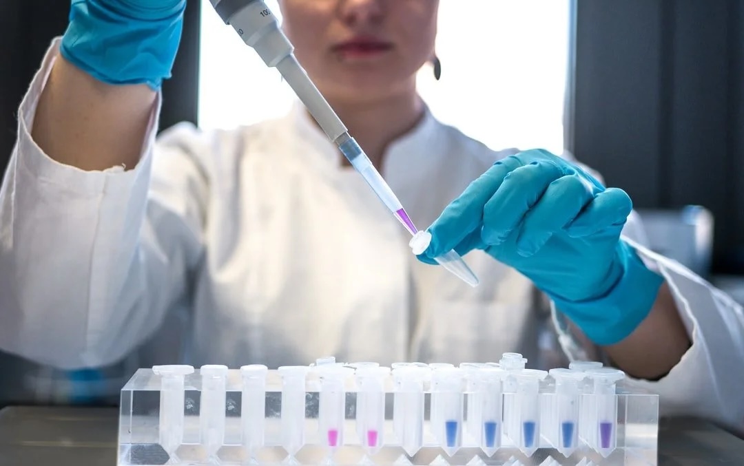 Veterinarian working with diagnostic lab equipment